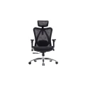 Sihoo M57 Ergonomic Office Chair