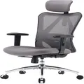 Ergonomic Office Chair High Back Desk Chair 2D Armrest Lumbar Support PU Wheels