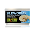 Exo Terra Canned Silkworms 34g Reptile Lizard Food (PT1954)