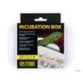 Exo Terra Reptile Egg Incubation Box (PT2443)