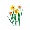 Lego Daffodils