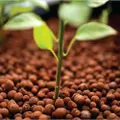 【Sale】50L Hydro Clay Balls - Organic Premium Hydroponic Expanded Plant Growing Medium