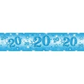 Pioneer Europe Stars 20th Birthday Banner (Blue) (One Size)