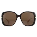 Gucci Sunglasses GG0511S 003 Dark Havana Brown