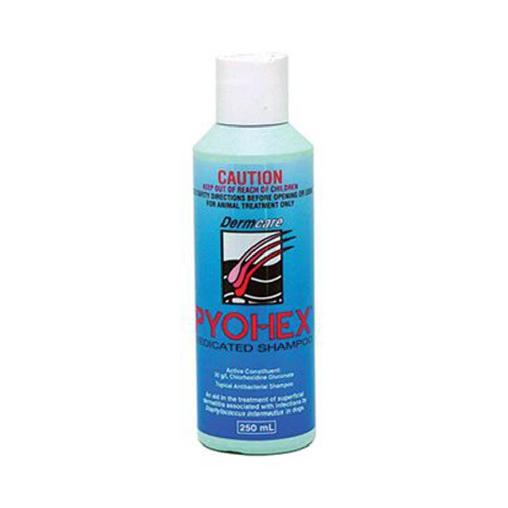 Dermcare Pyohex Shampoo 250Ml