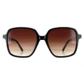 Ted Baker TB1688 Romey Sunglasses