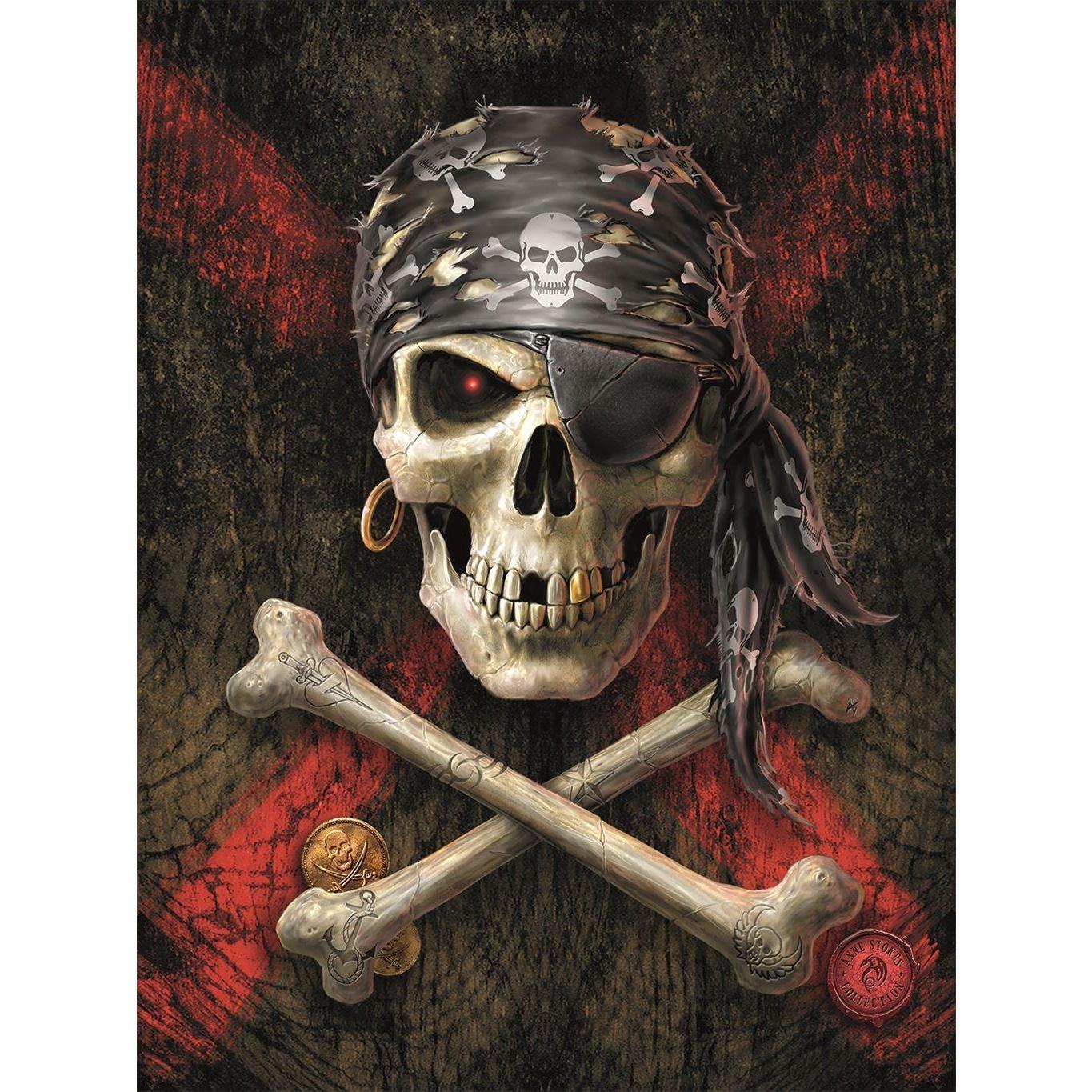 Anne Stokes Pirate Skull Canvas Print (Brown/Red) (80cm x 60cm)