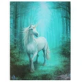 Anne Stokes Forest Unicorn Canvas (Multicoloured) (Small)
