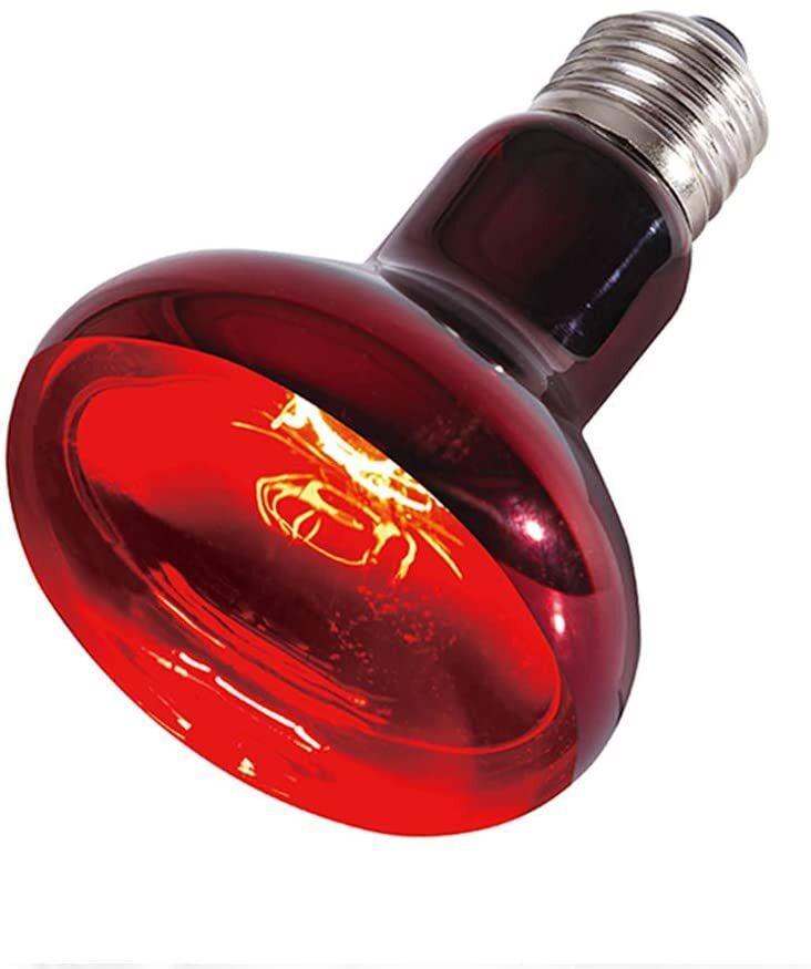 Sparkzoo Infrared Uva Heat Lamp 60W