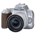 Canon EOS 250D 18-55 STM Lens - Silver (International Ver.)
