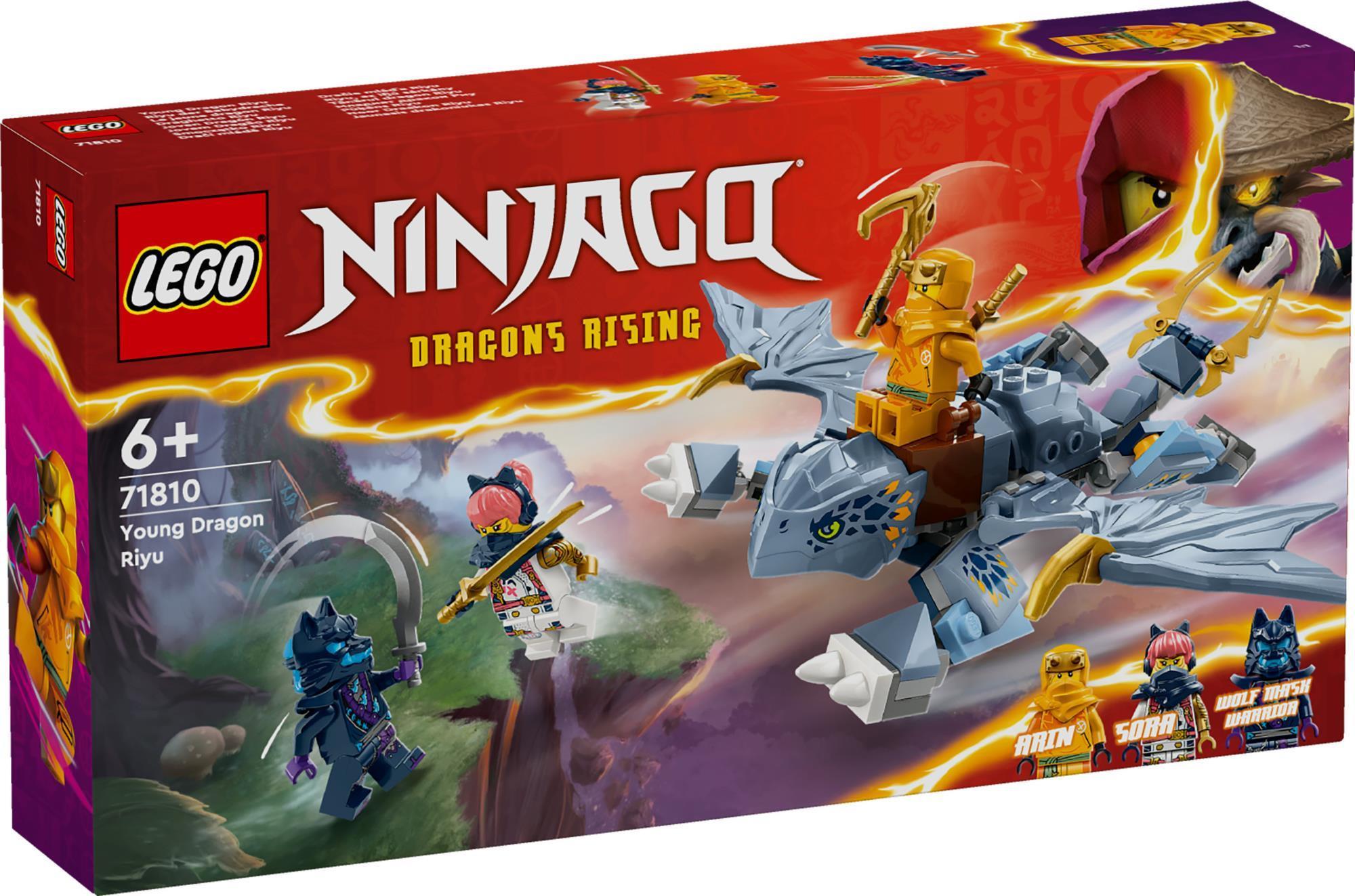LEGO Ninjago Young Dragon Riyu 71810