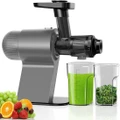 Gray Cold Press Masticating Juicer with Quiet Motor and High Juice Yield