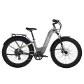 Aventon Aventure.2 Step Through Electric Bike