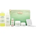 Acne Control Set: Cleanser 177ml + Lotion 236ml + Mask 56g + Drying Lotion 29ml + Drying Cream 14g --5pcs