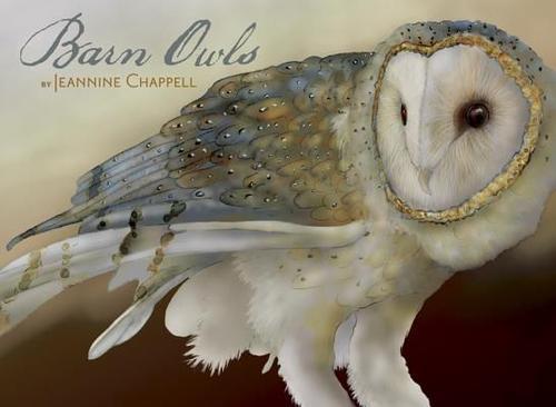 Barn Owls by Jeannine Chappell Boxed Notecards (46