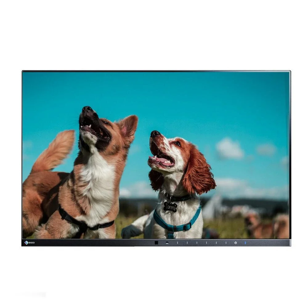 EIZO EV2450 FlexScan 23.8" Full HD Slim Frameless PC Monitor Display, Speakers (NO STAND) | Refurbished (Grade A)