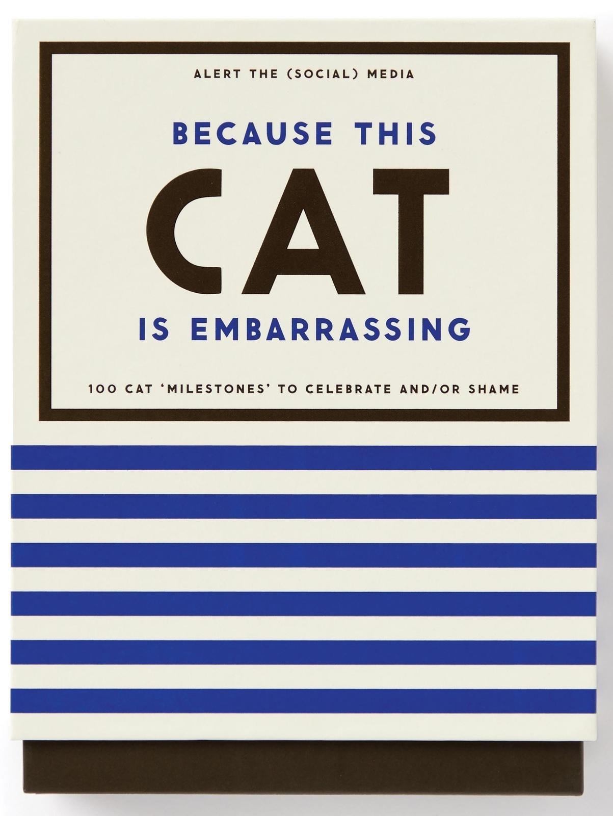 Brass Monkey: Because This Cat Is Embarrassing Cards