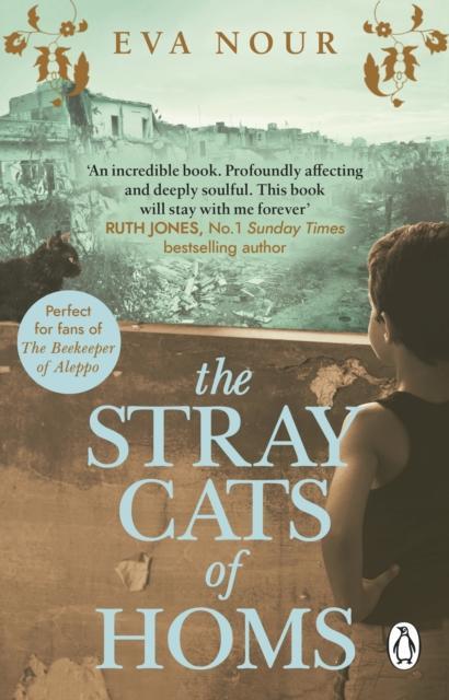 The Stray Cats of Homs by Eva Nour