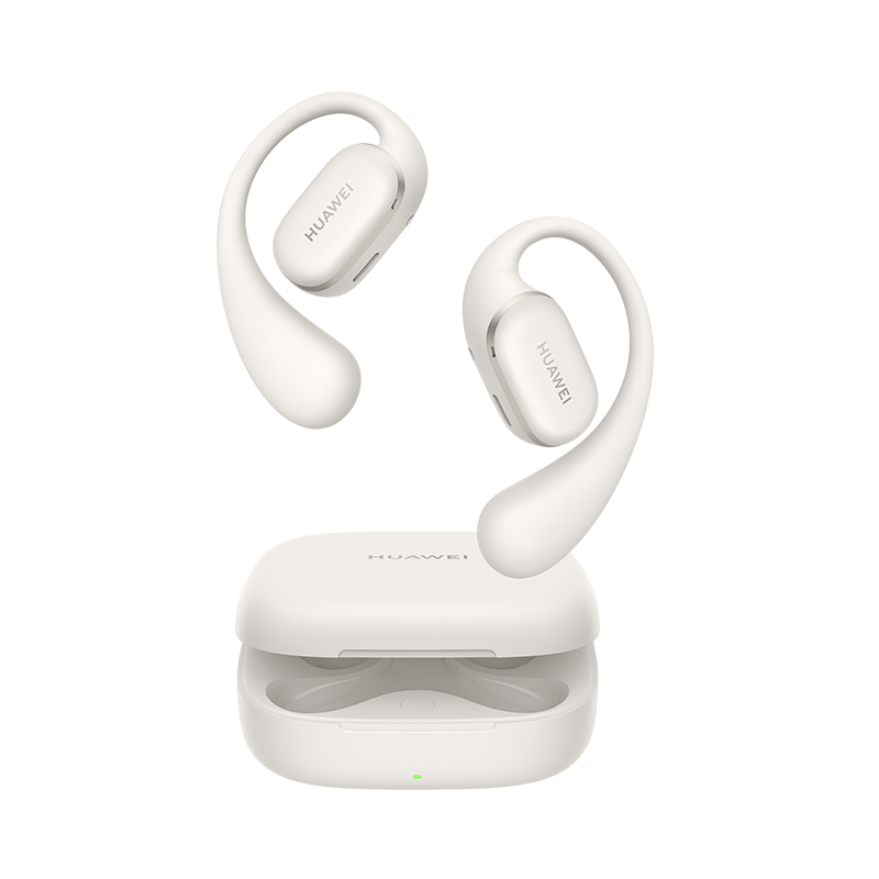 Sennheiser IE 600 In-Ear Headphones