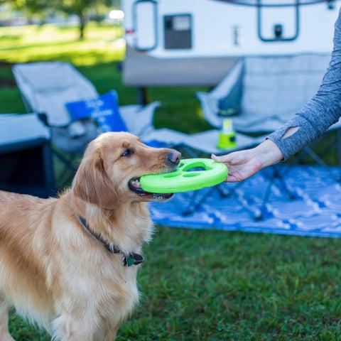 Dog Pet Training Toys foam Bite Resistant Flying Disc Frisbee