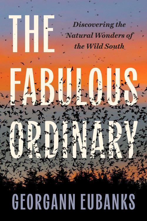 The Fabulous Ordinary