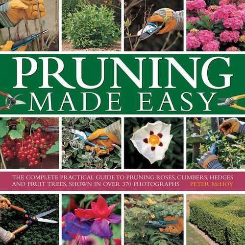 Pruning Made Easy