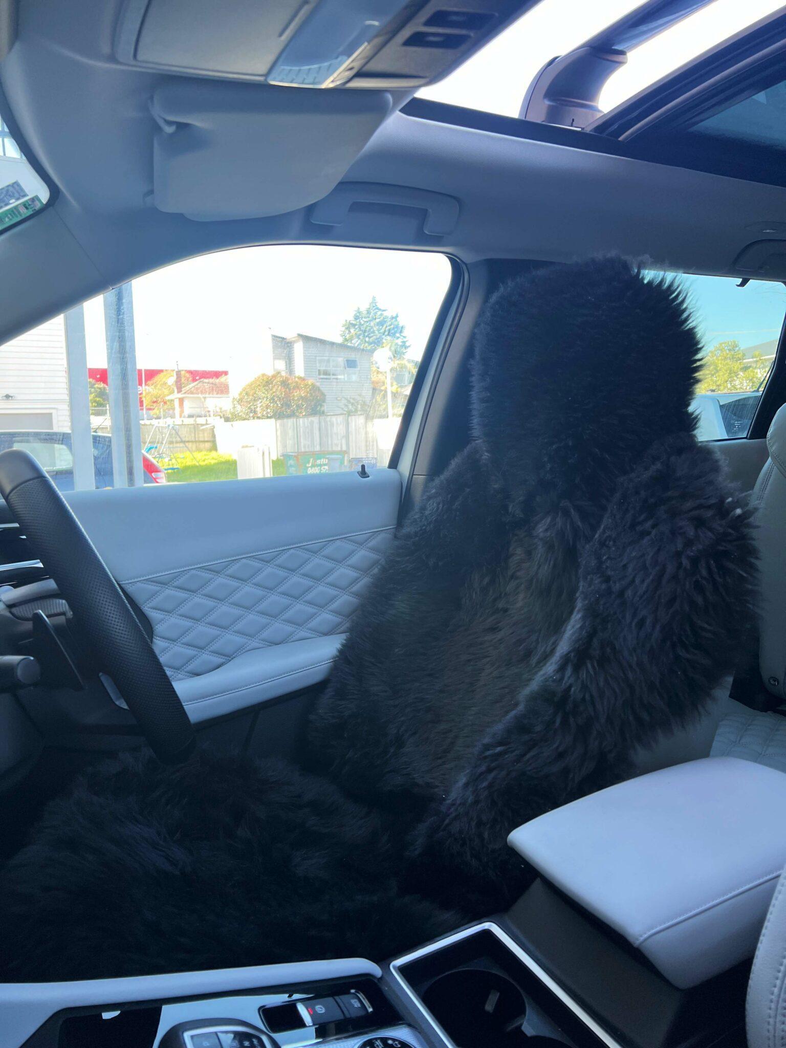 Universal Sheepskin Car Seat Cover - Black