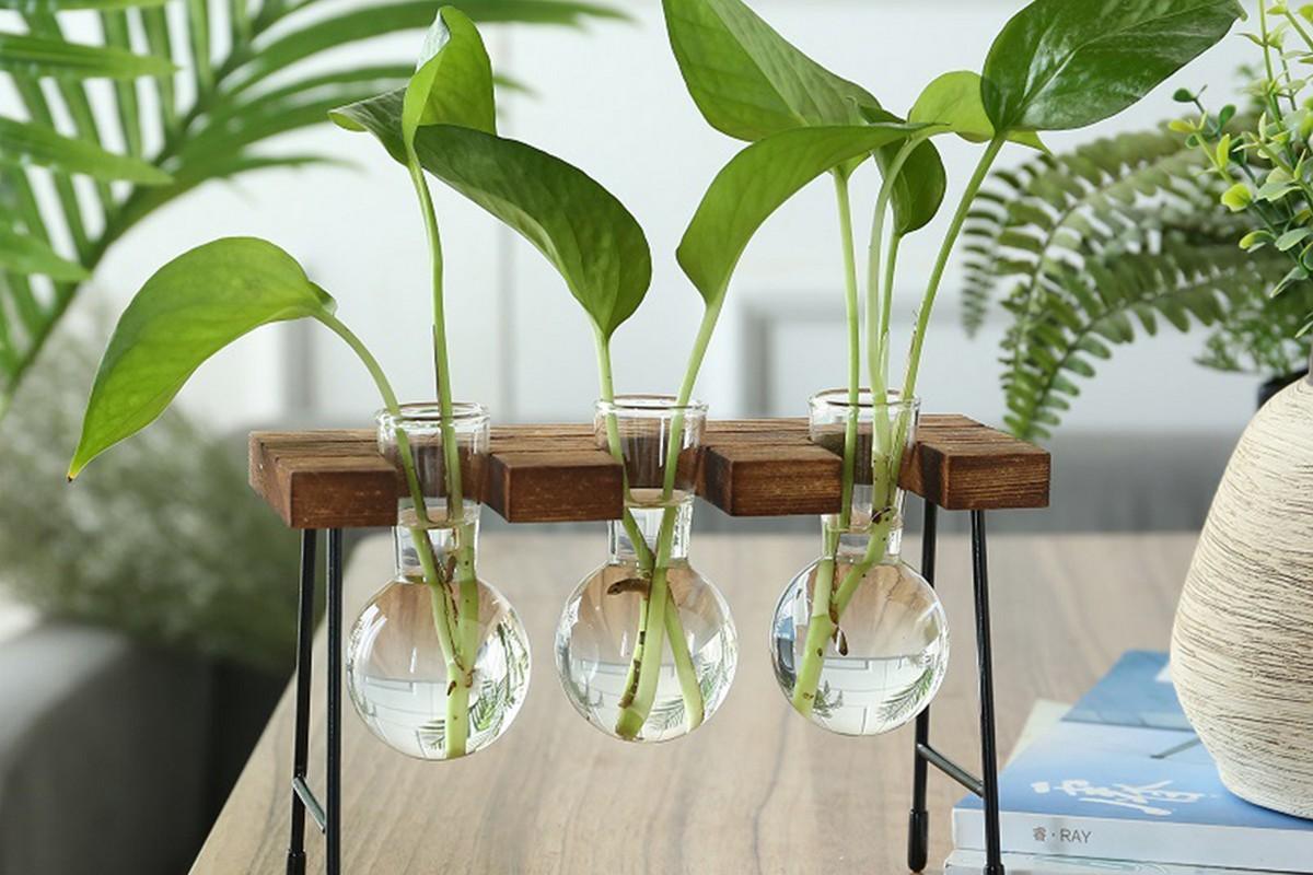 Hanging Glass Plant Pot with Wooden Stand