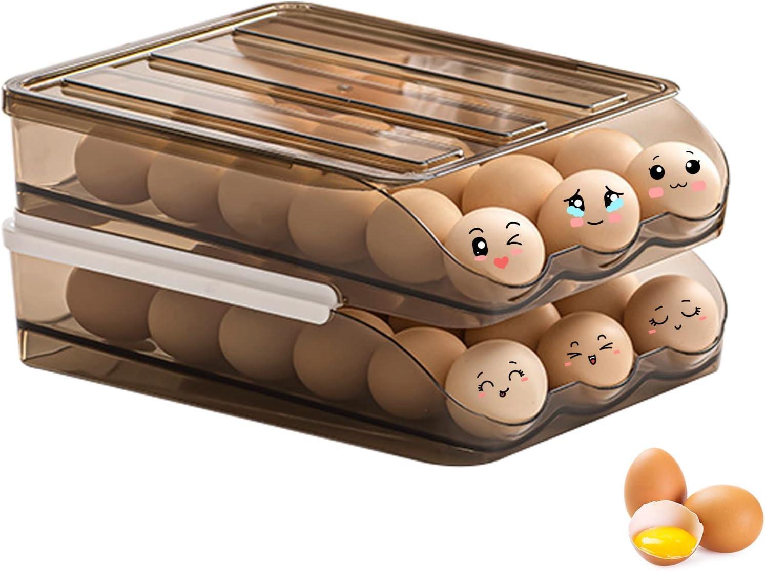 Large Capacity Egg Holder for Fridge (2 Layer)