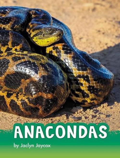 Anacondas