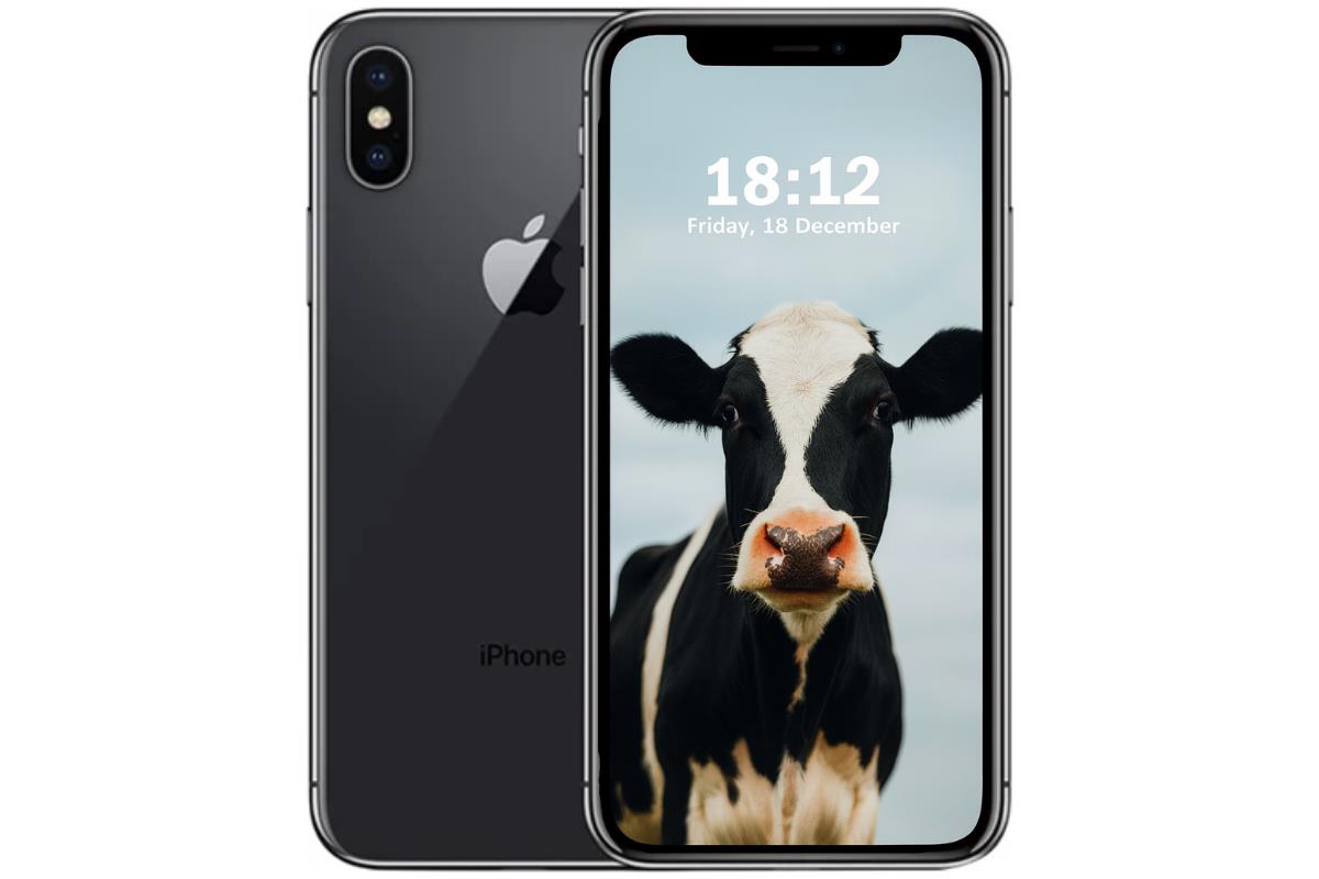 Apple iPhone X (256GB, Space Grey) - Used item with defect